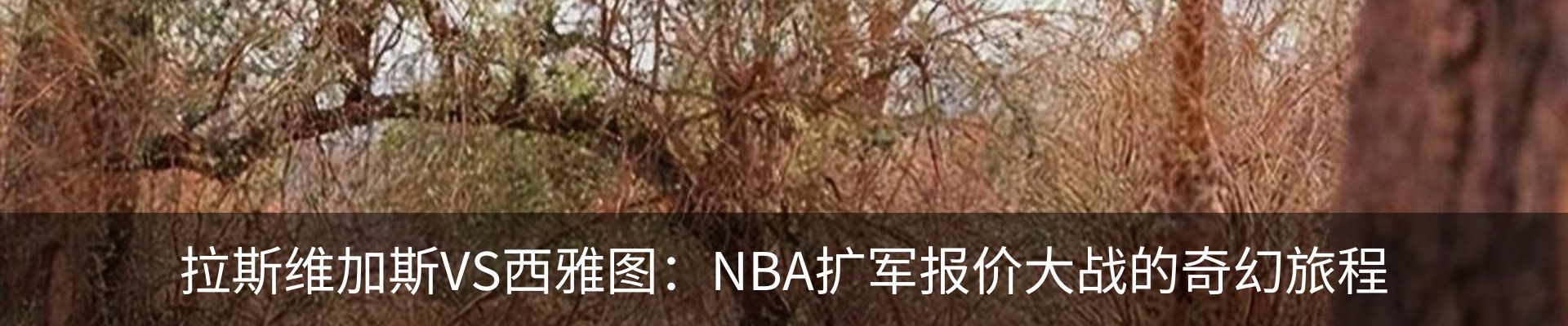 最新动态