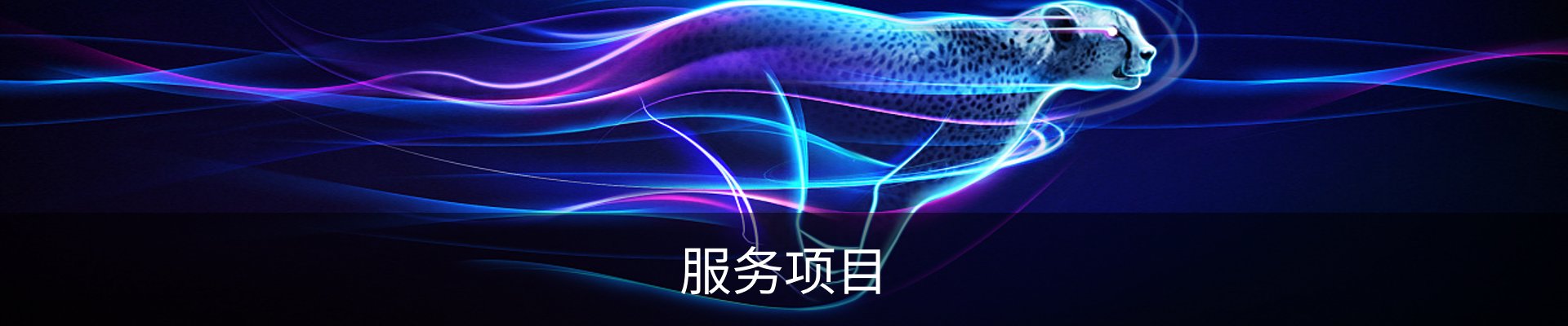 服务项目
